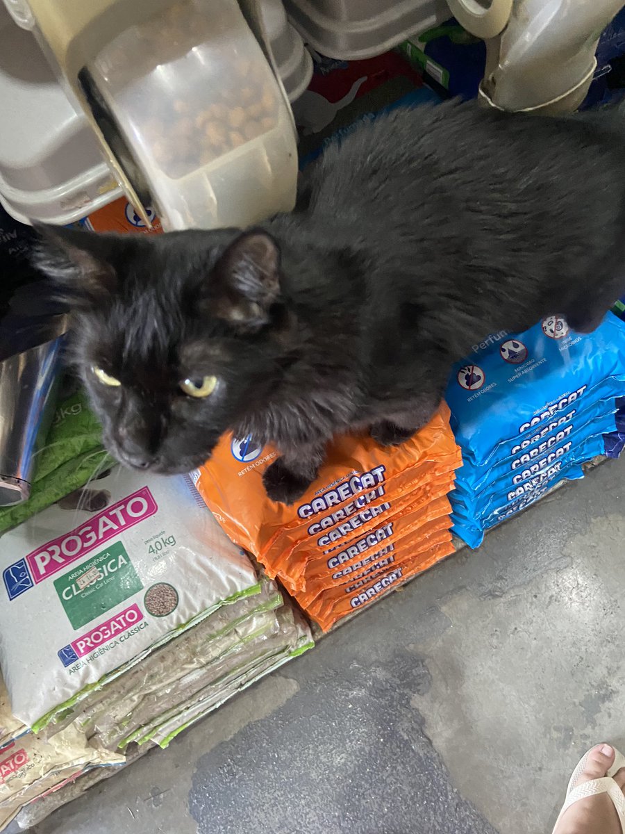 Mary 🧙🏻‍♀️💋 tweet media