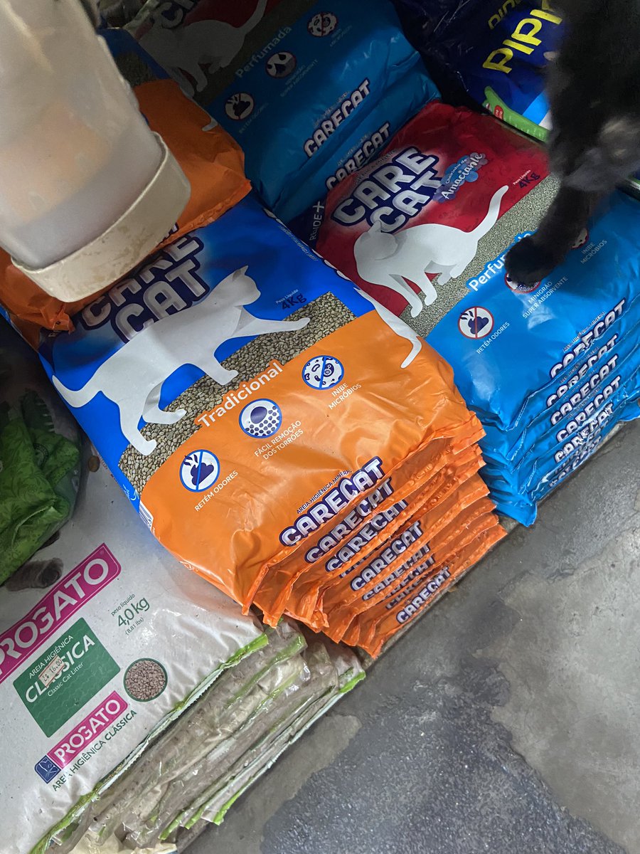 Mary 🧙🏻‍♀️💋 tweet media