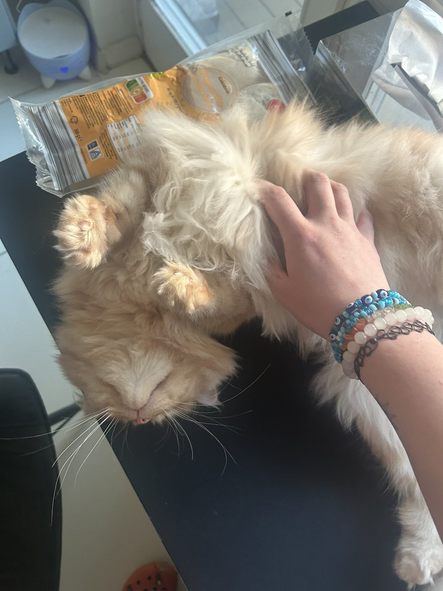 𝖋𝖗𝖊𝖞𝖆🧟‍♀️🎀 𝖘𝖍𝖊𝖉𝖙𝖜𝖙 tweet media