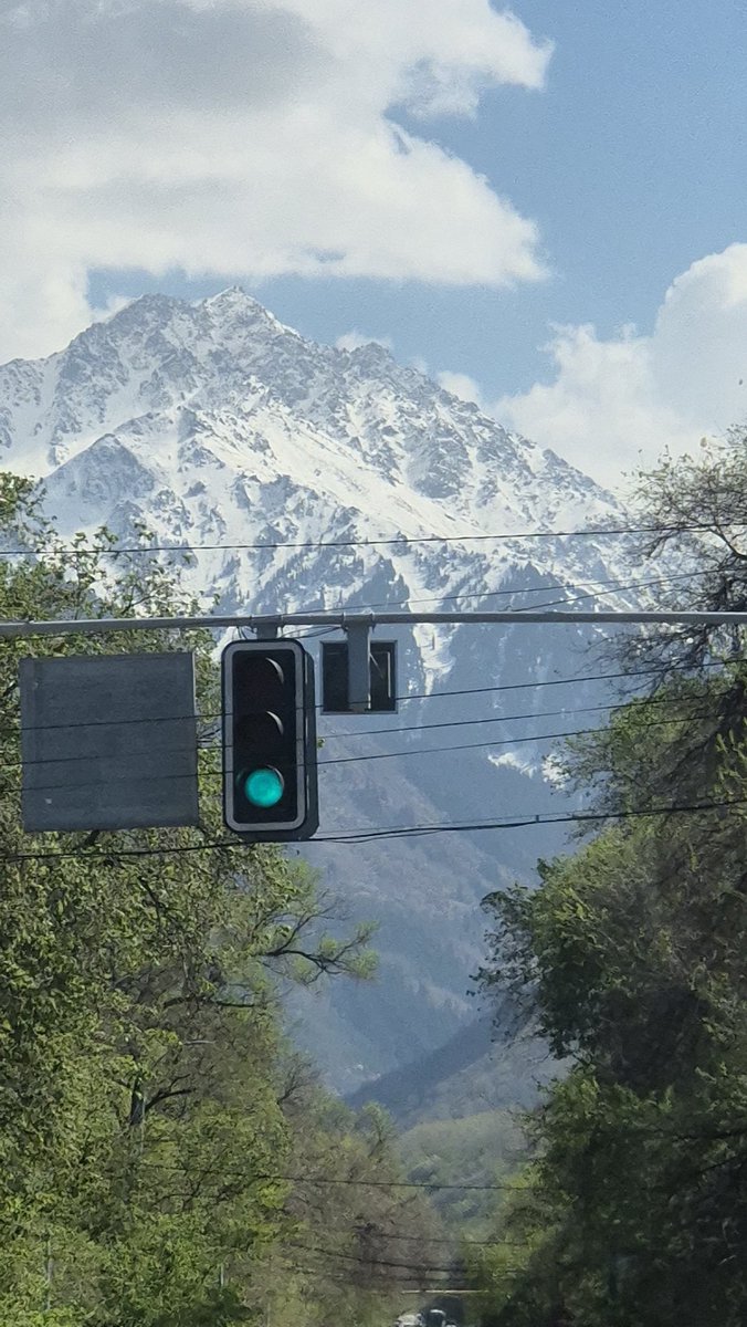 Какой светофор выберешь ты