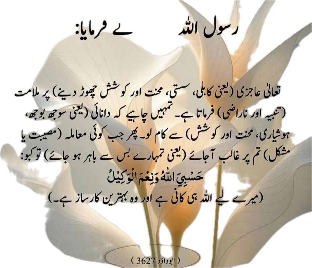 Ishaq Dar (@mishaqdar50) on Twitter photo 