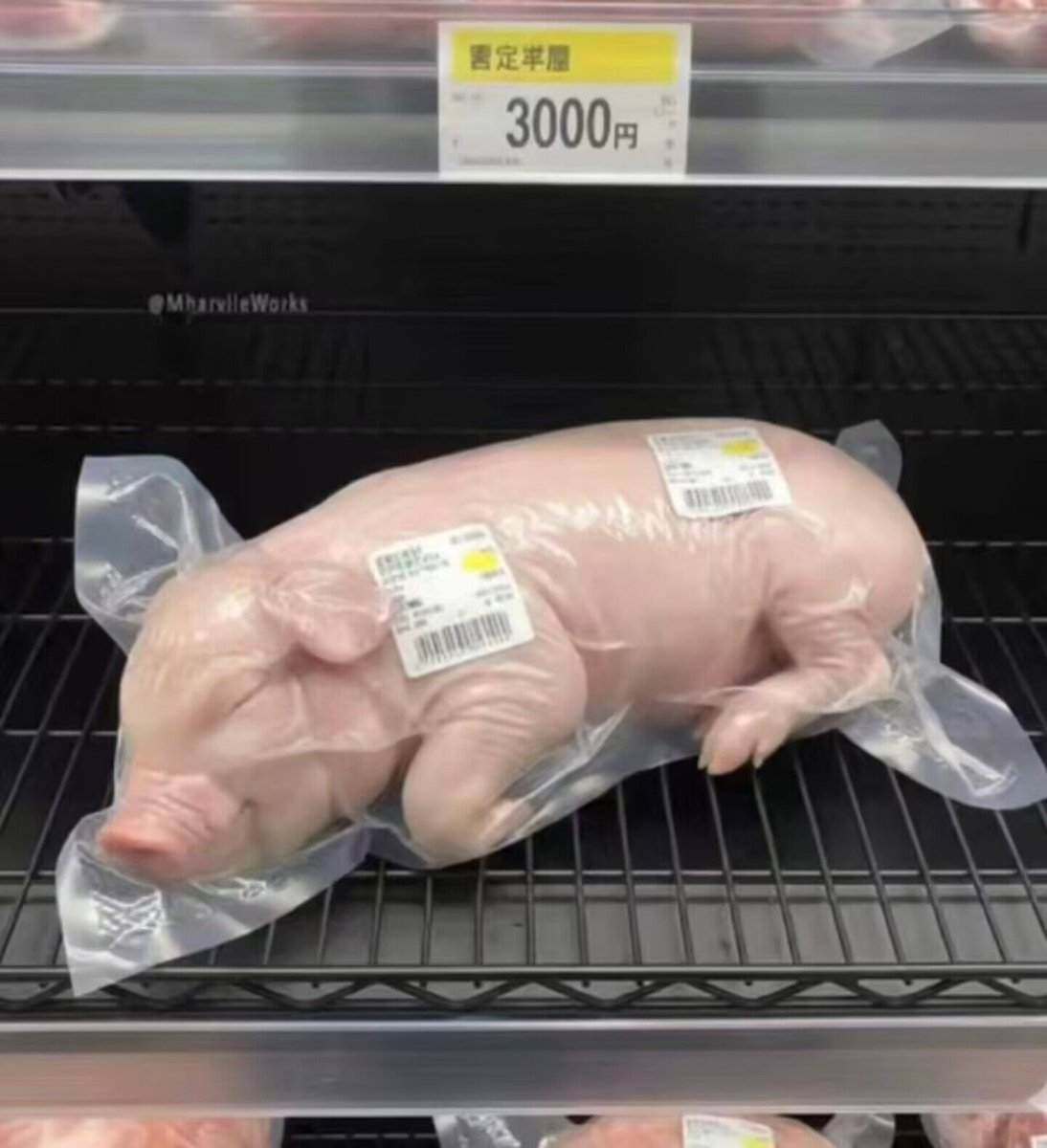 谢蝶恋雨 tweet media