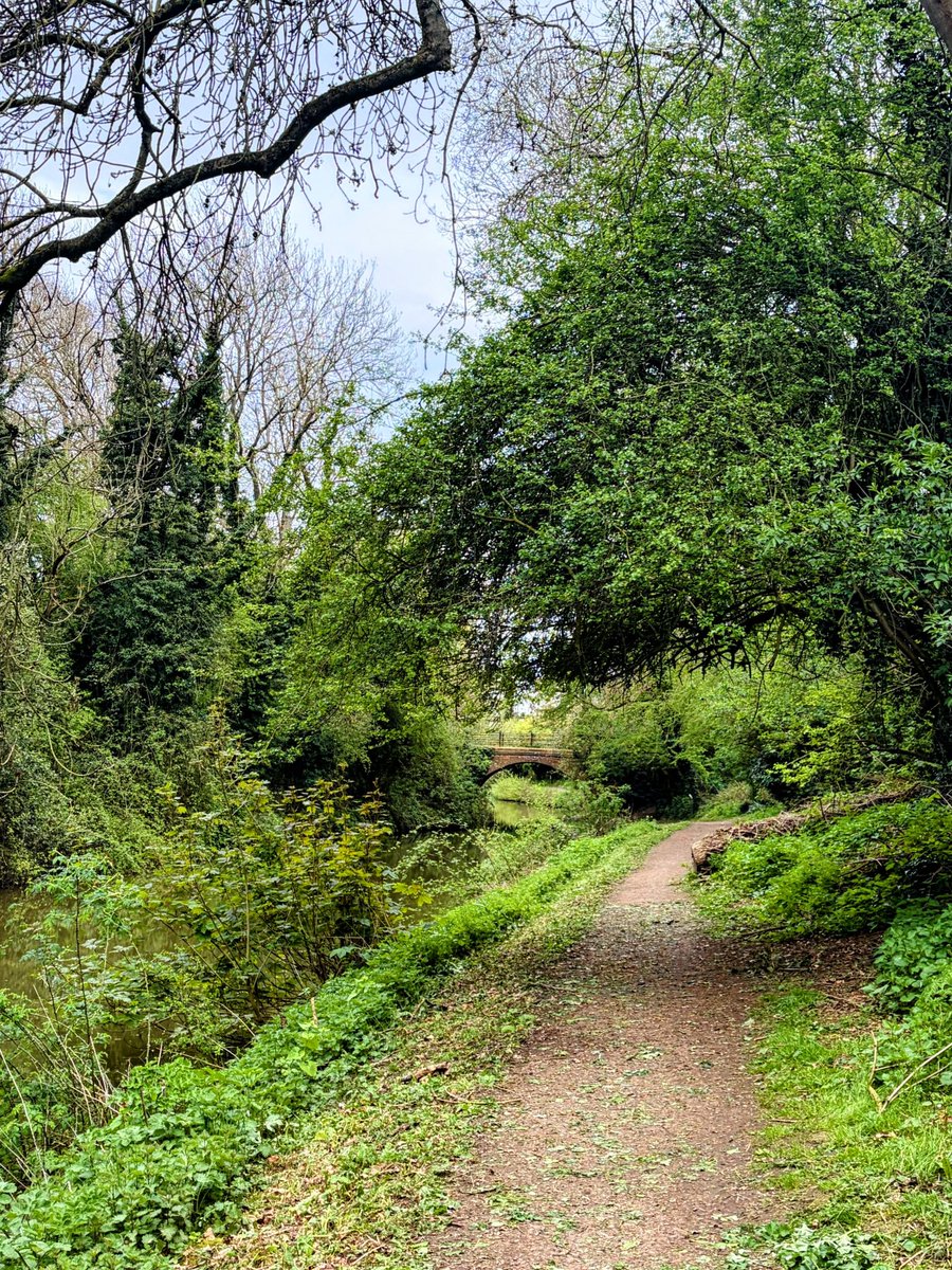 andyflyfisher's tweet image. Accompany me on this evenings visual walk.
Featuring one of my old fishing haunts on the Grand Union canal, I have spent many happy hours fishing here catching perch, roach, tench, bream and pike.

#fishing #fishinglife #mindfulness