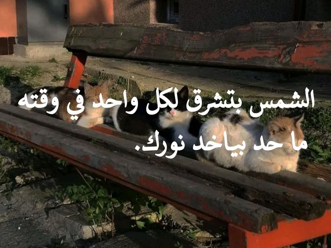 Mariam • tweet media