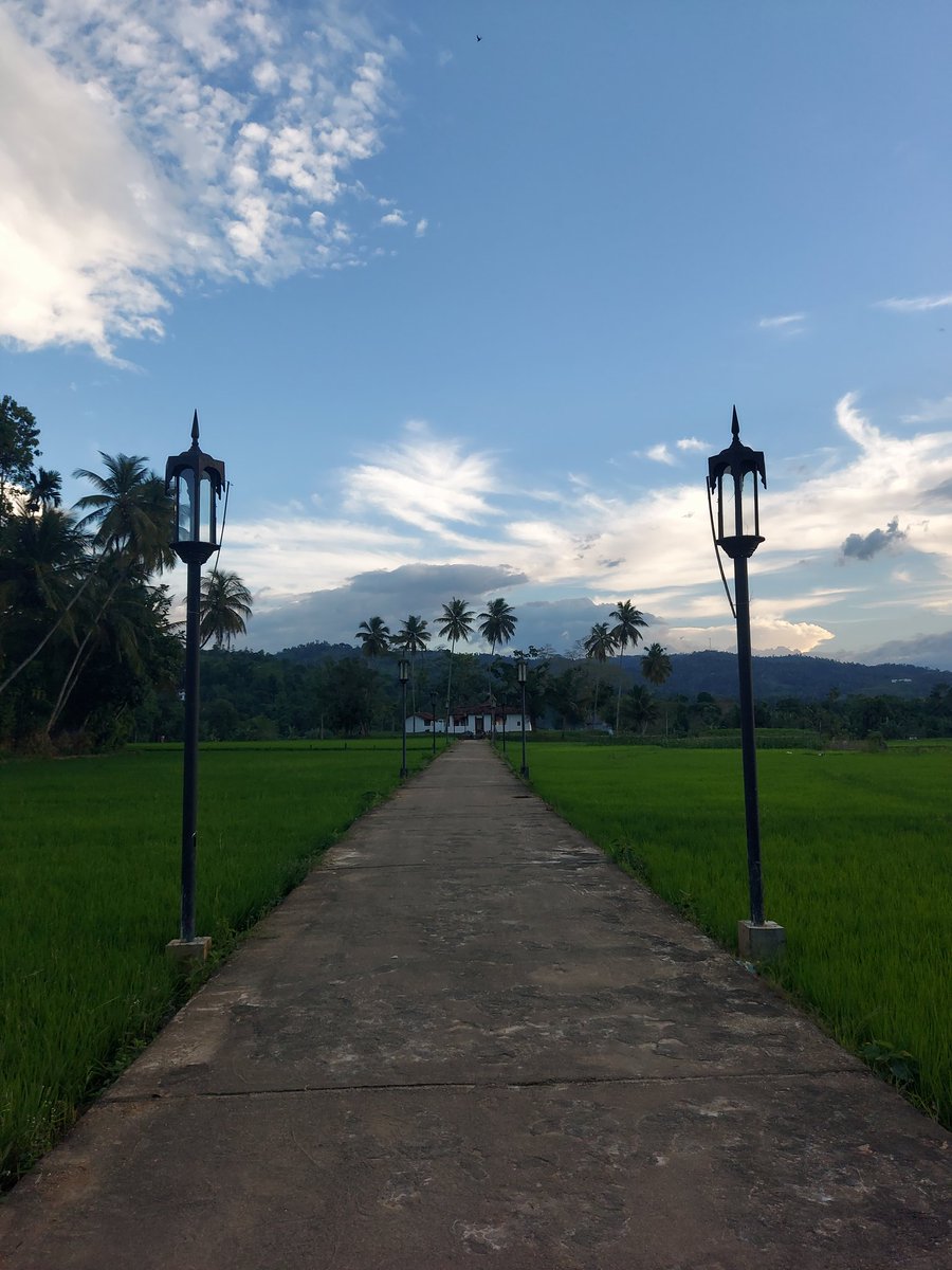 sonofnariman's tweet photo. After two years, I say goodbye to Sri Lanka - a wonderful country filled with the kindest, most warm-hearted people.

With a new member of the family in tow, I leave with beautiful memories, new friendships, and a deep appreciation of Sri Lankan culture and history.

Ayubowan. https://t.co/jDW1AlCRWM