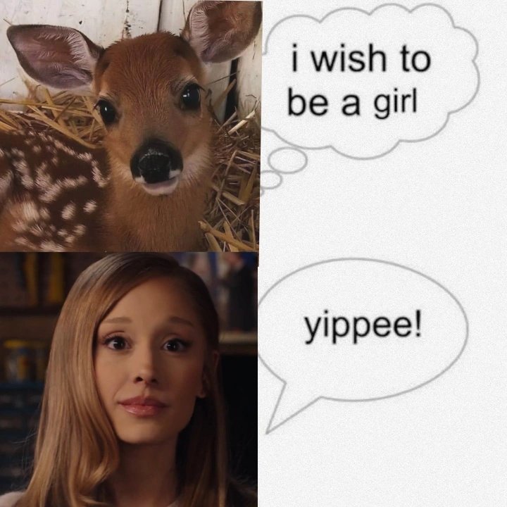 asia ♡ is seeing ari tweet media