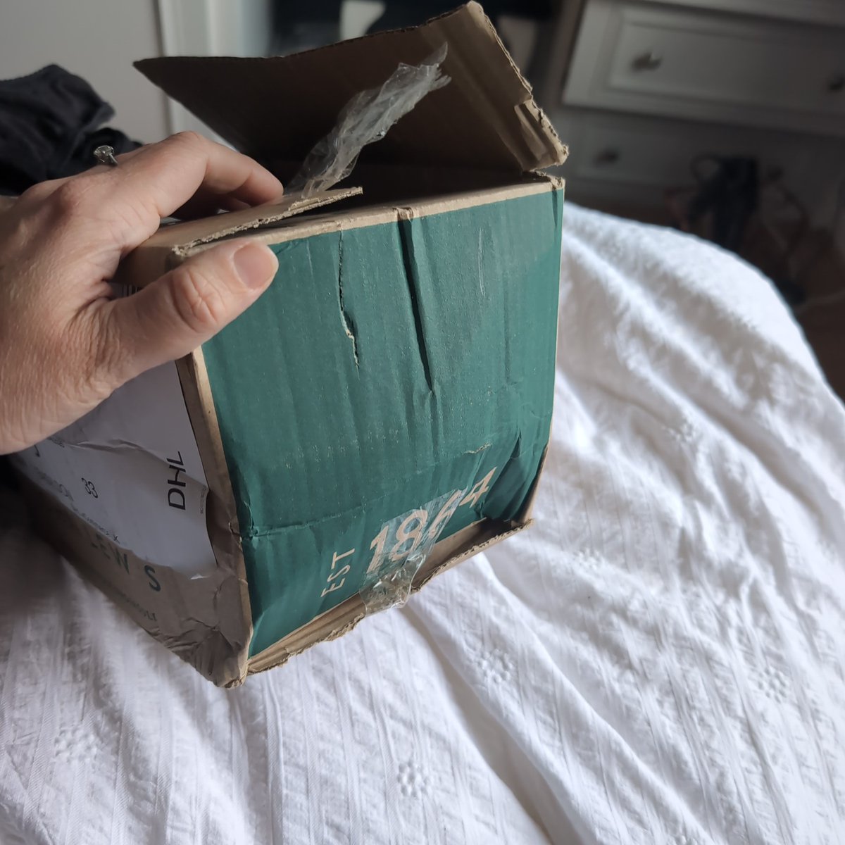 Miss Music tweet media