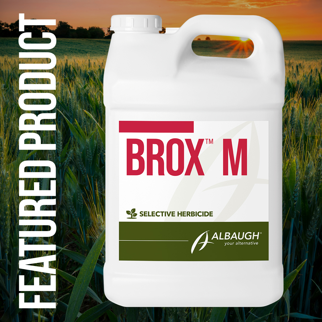 Say goodbye to broadleaf weeds with Brox® M. Our selective, post-emergent herbicide is your go-to solution for tackling a wide range of broadleaf weeds in cereal crops. Keep your fields looking their best with Brox M. loom.ly/WlXBuRI #YourAlternative
