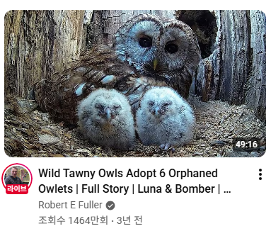 𝐌𝐞𝐭𝐚𝐩𝐡𝐲𝐬𝐢𝐜𝐚𝐥 tweet media