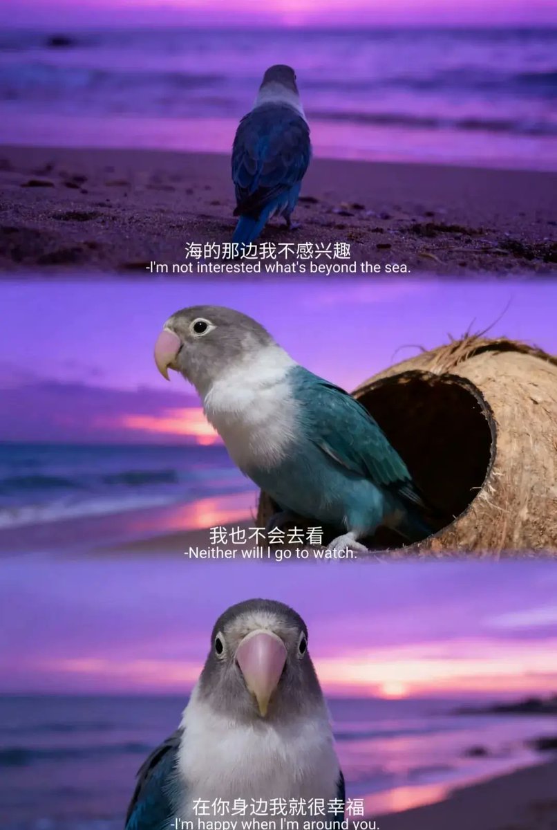 李李 tweet media