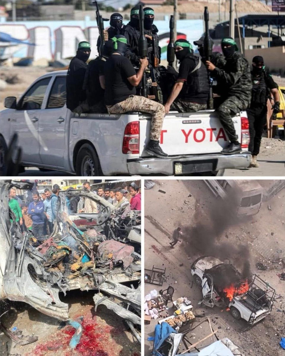 Vivid.🇮🇱 tweet media