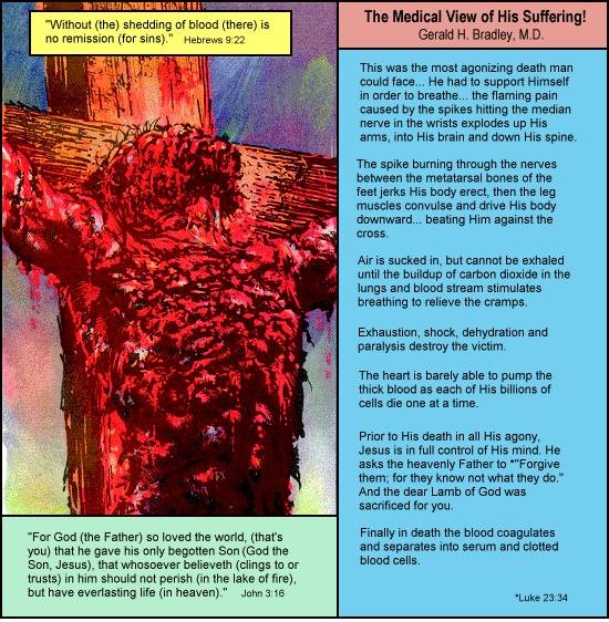 Clarence Sargent tweet media