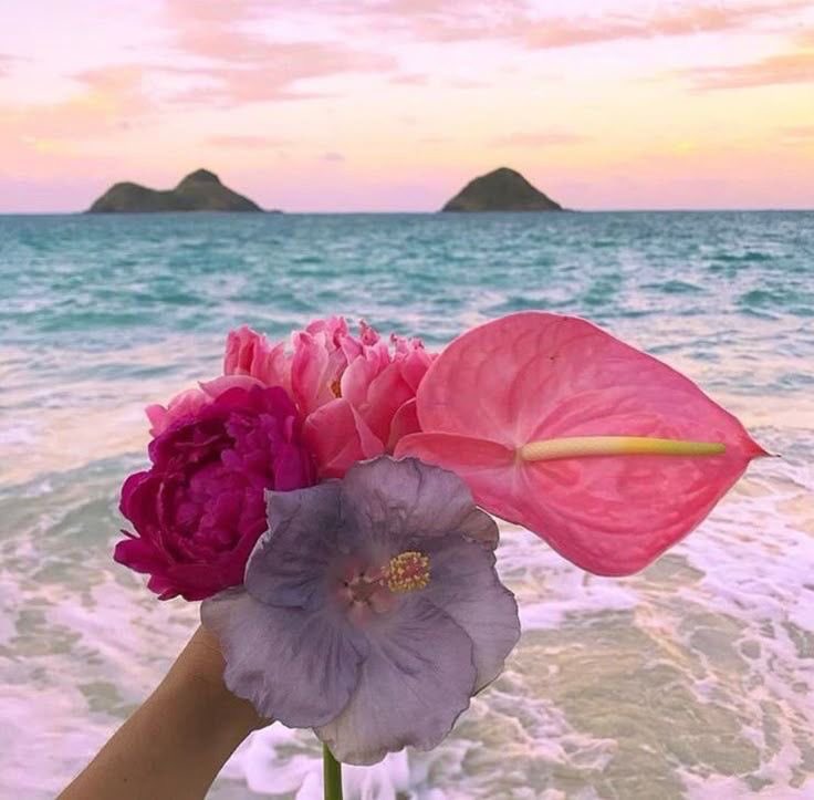 𝒱𝑒𝓁𝑜𝓊𝓇𝒾𝒶✨ tweet media