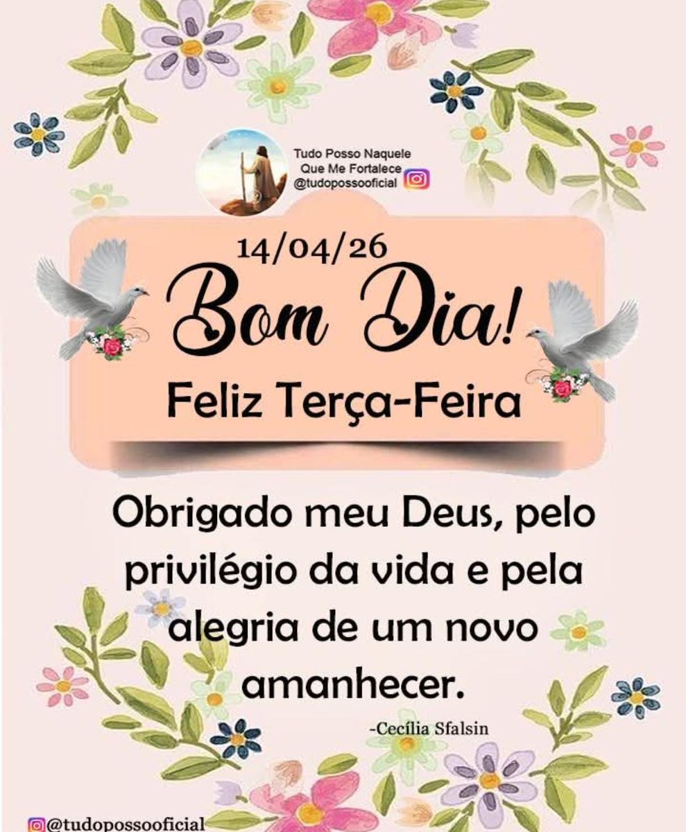 Danielle Amorim tweet media