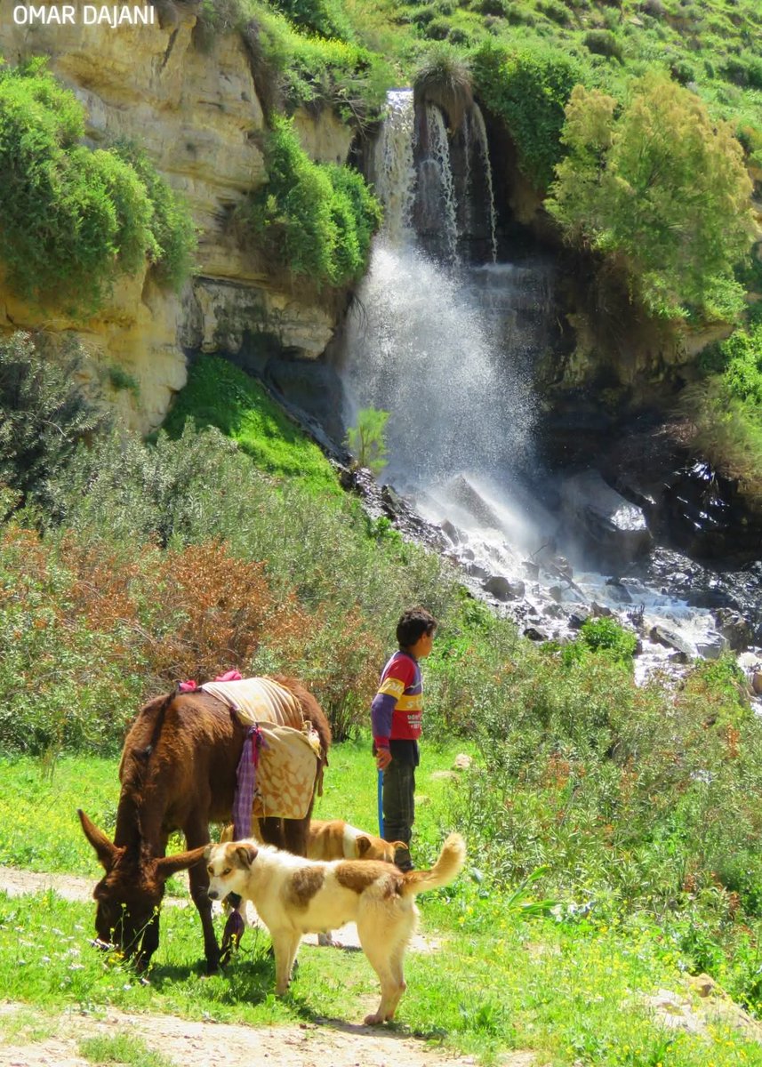 قـصي | ⚜️🇯🇴 tweet media