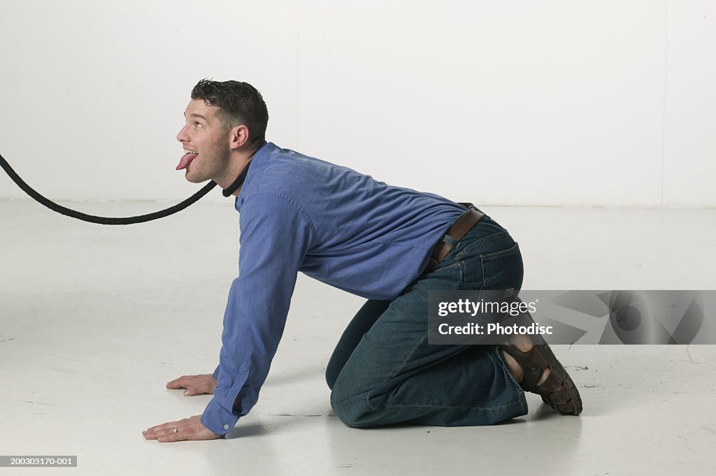 AssmannHowie tweet picture
