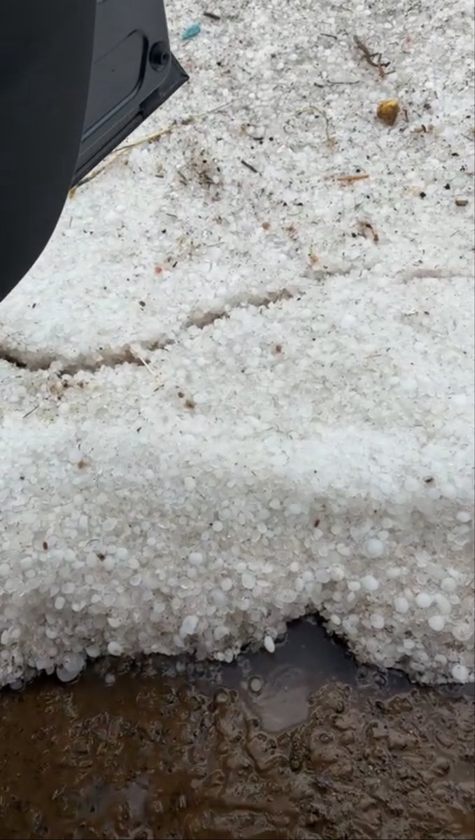 𝐀𝐥𝐚𝐧𝐨𝐮𝐝 tweet media