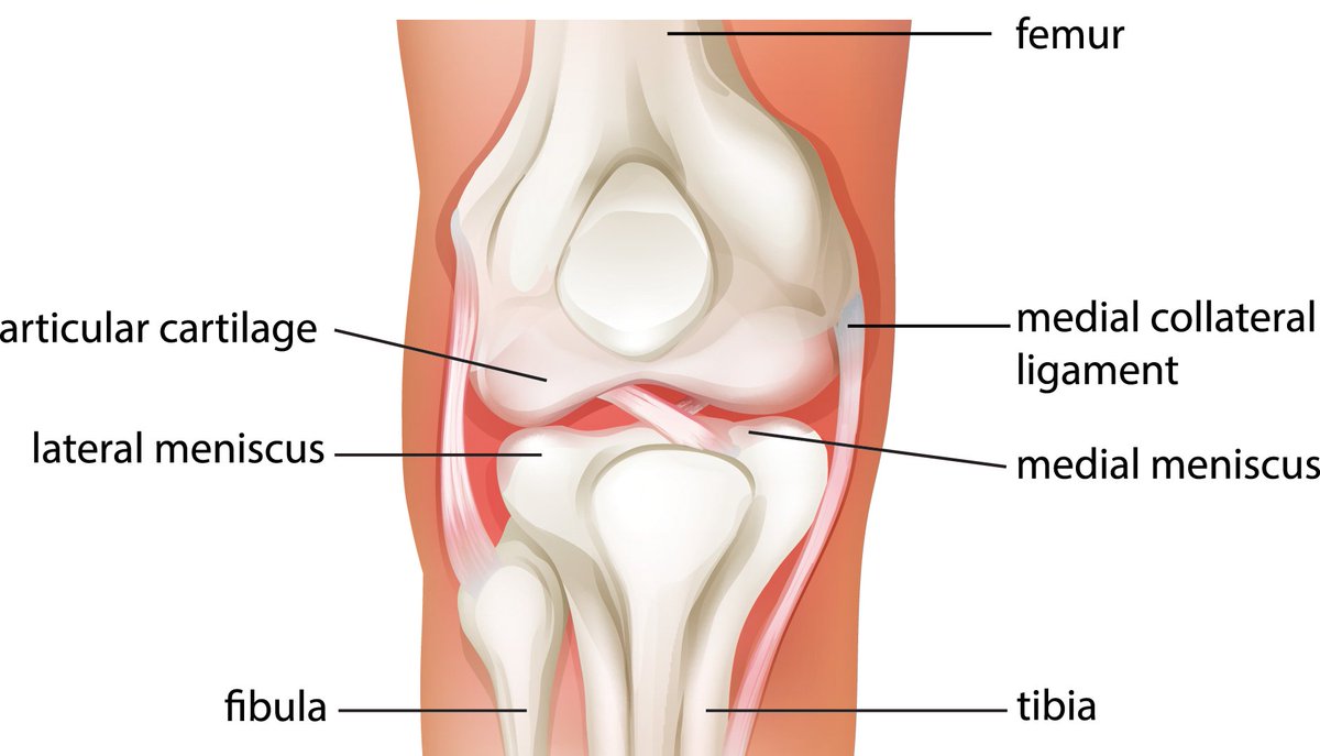 Heart & Soil tweet media