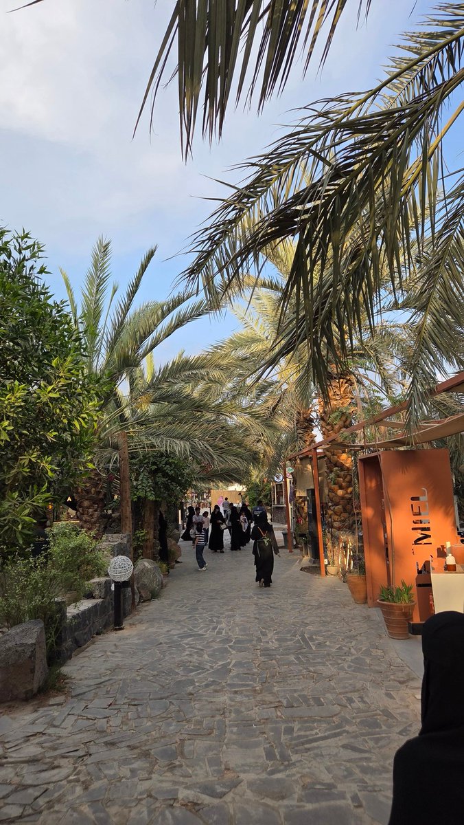 وِسام 𒉭 tweet media