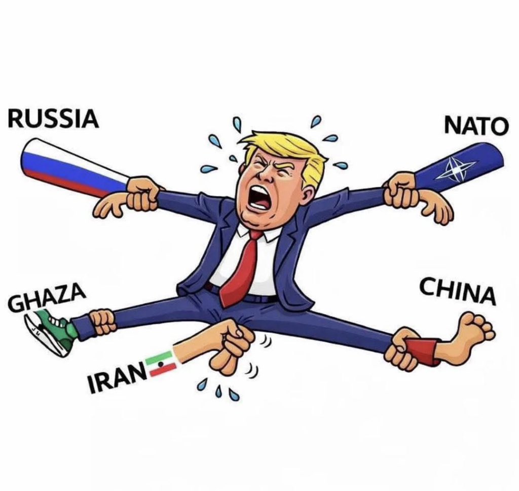 DanC ₿ tweet media