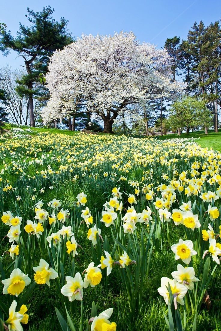 ELEONORA tweet media