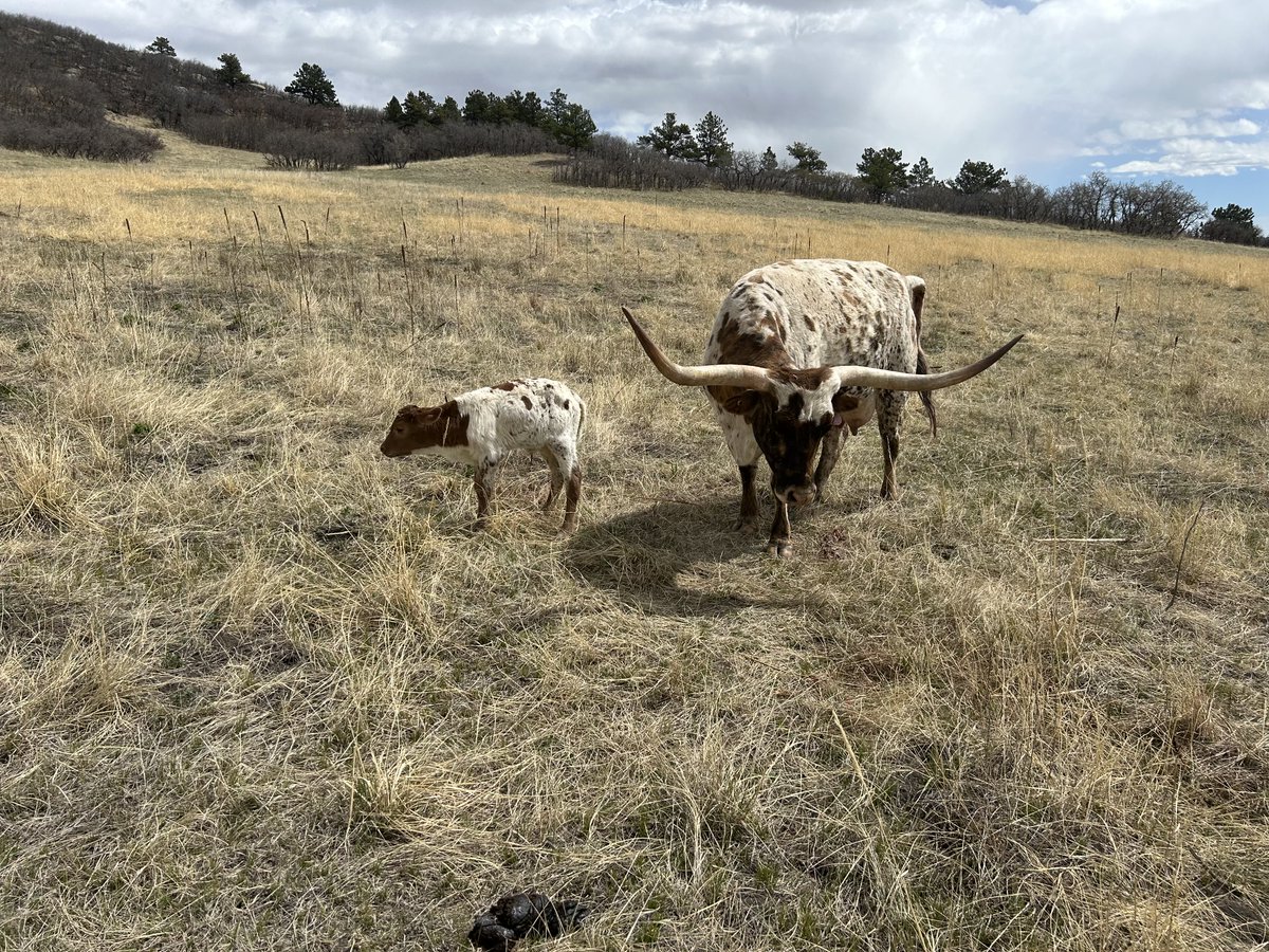 Amy Hunt tweet media