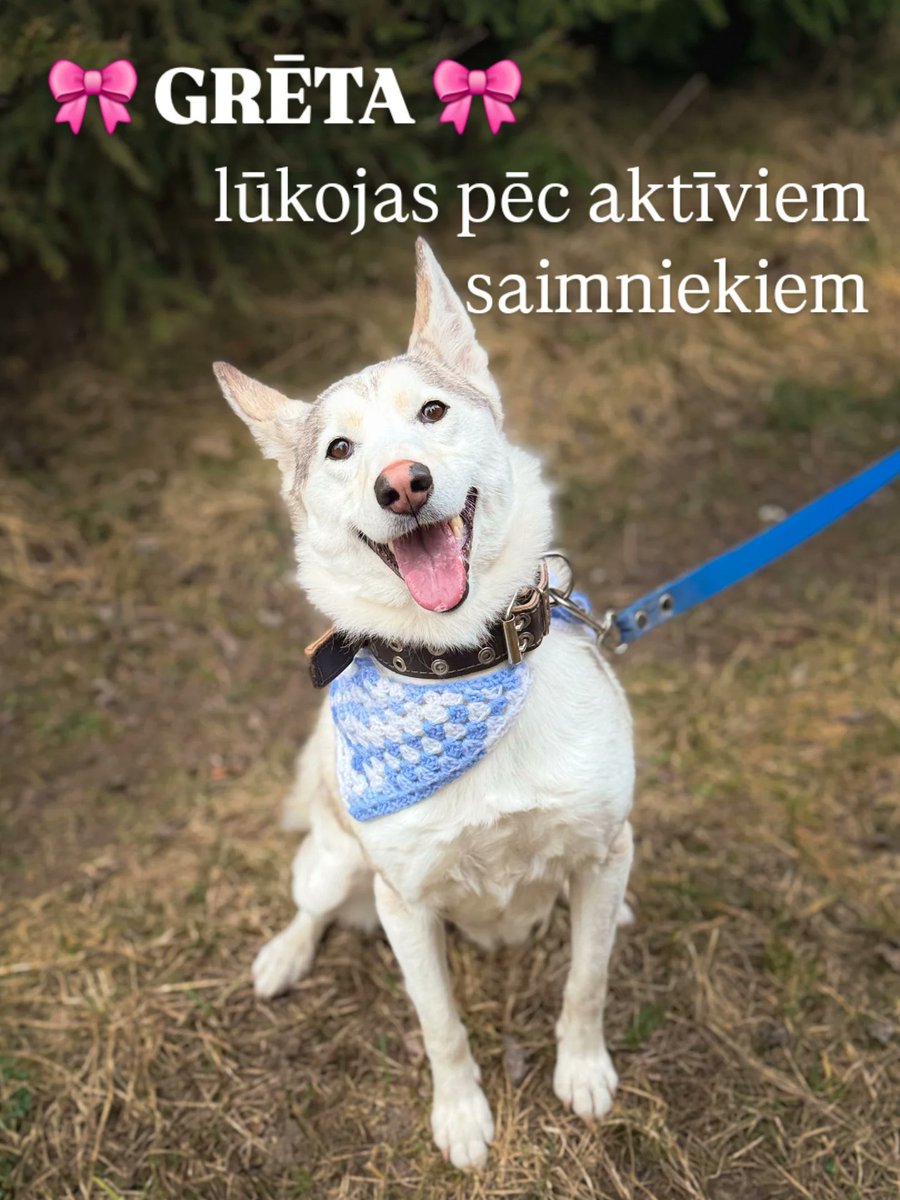 DzAB ''Ķepu-ķepā'' tweet media