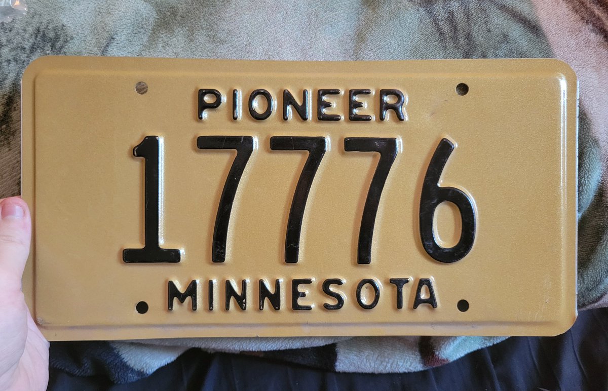 quizzy💾 tweet media