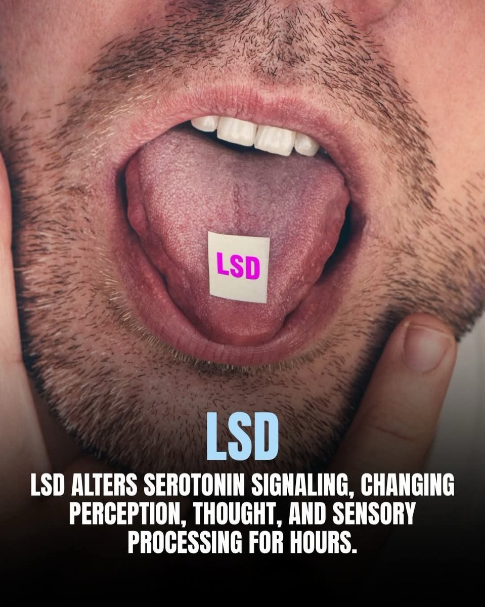 tripathi_utpal's tweet image. Drugs Dependency ⚠️
#Alcohol #Drugs #Addiction