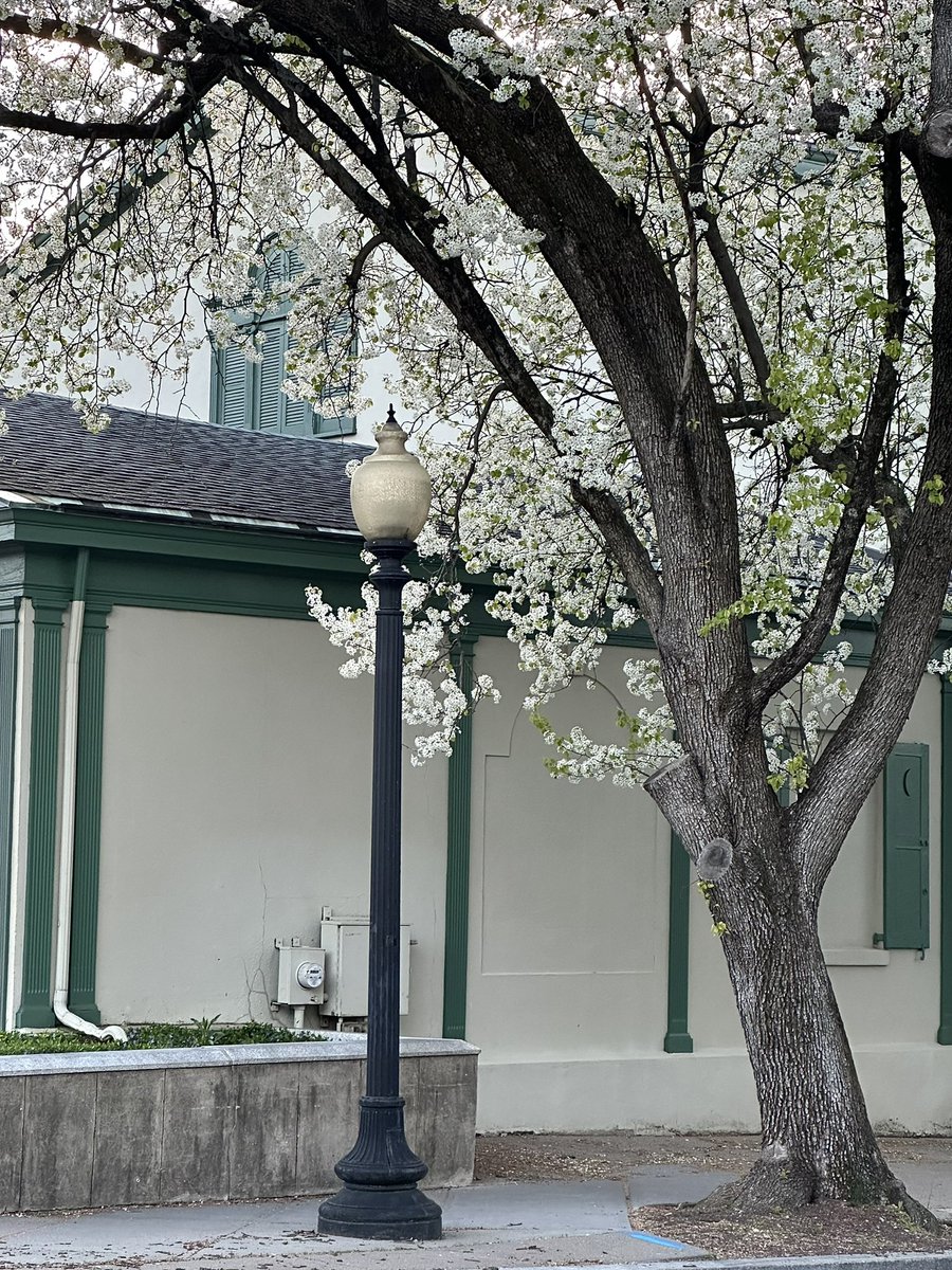 Soni Sinha tweet media