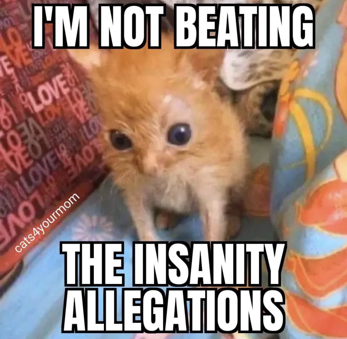 ❤ S'midge tweet media