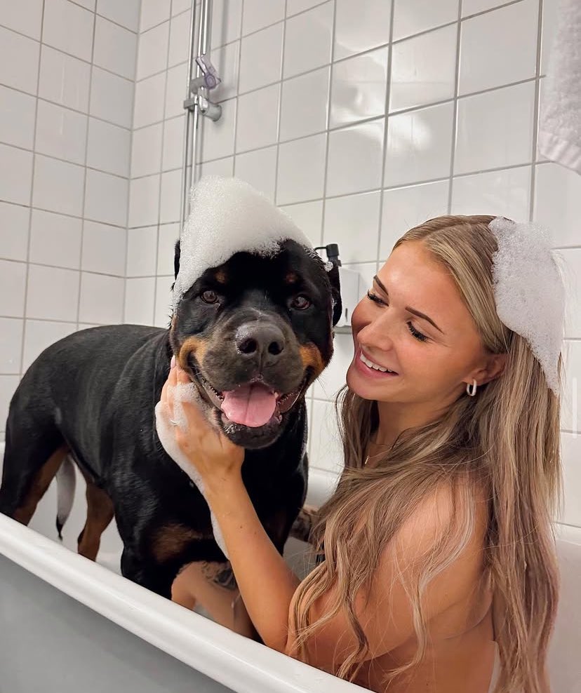 Sabrina Paws tweet media