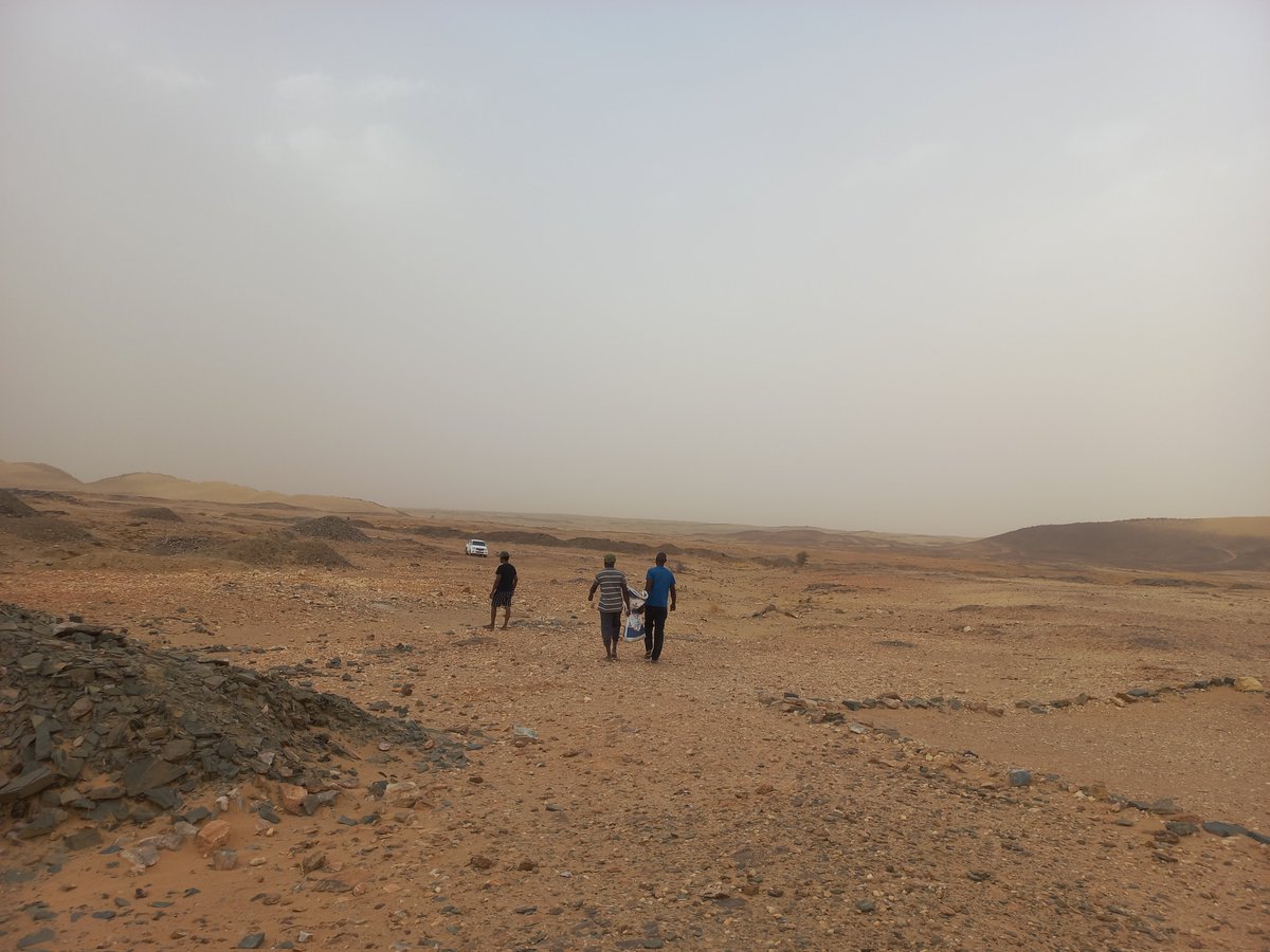 ⊙rωa⛓️💥🇵🇸 tweet media