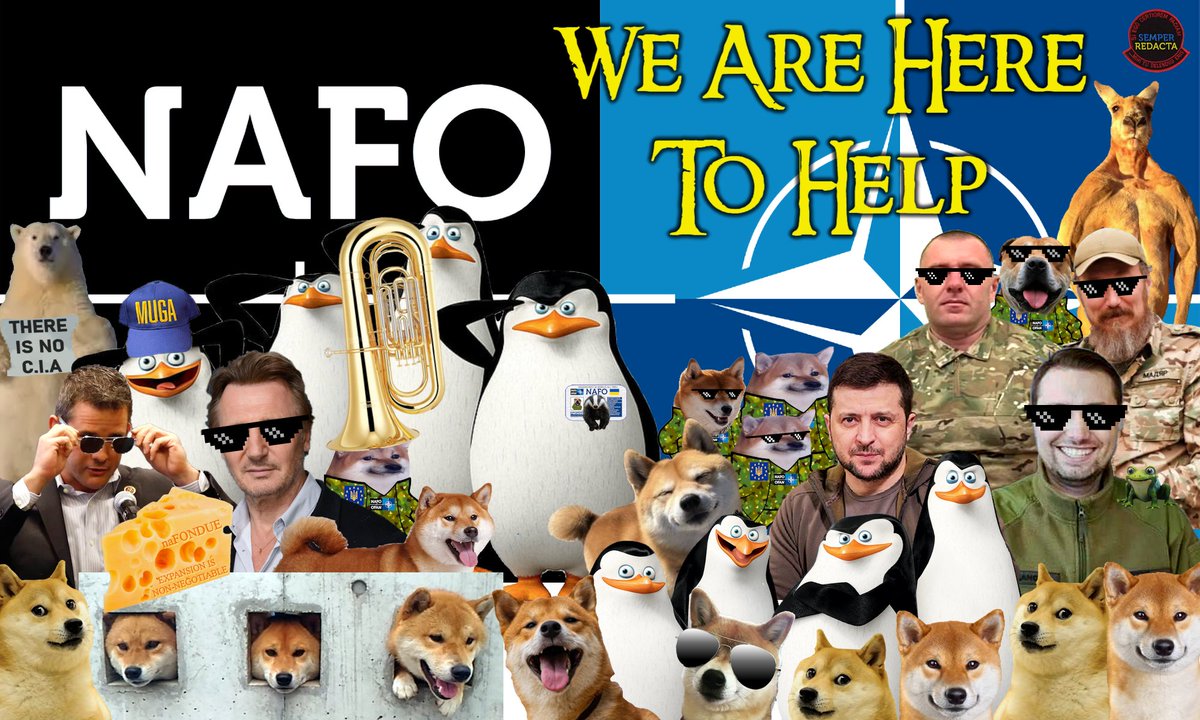 Sue Stroud NAFO 🧡🇨🇦🇺🇦💛💙🌻🐦🧡 tweet media