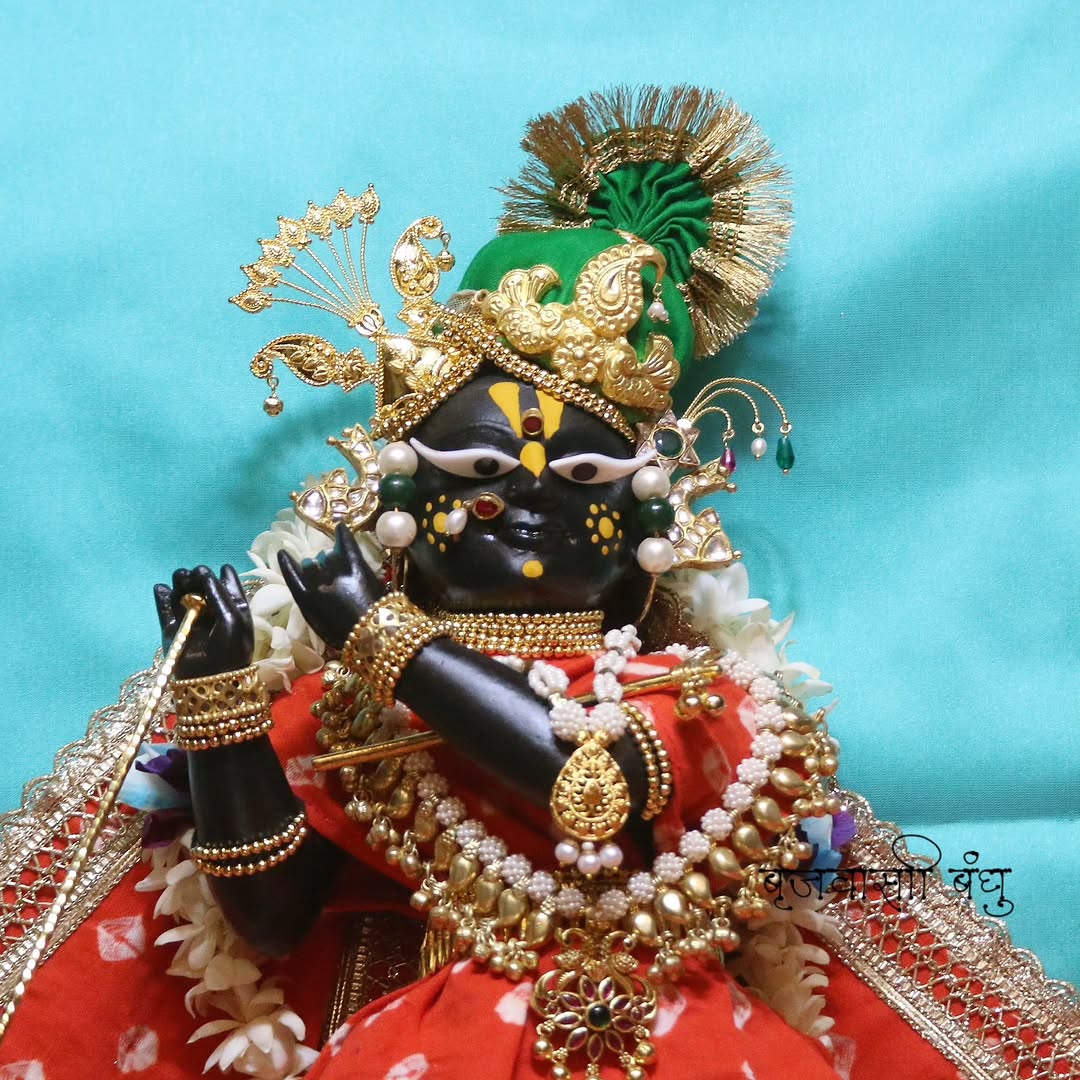 ठाकुर श्री राधारमण लाल जू 🦚