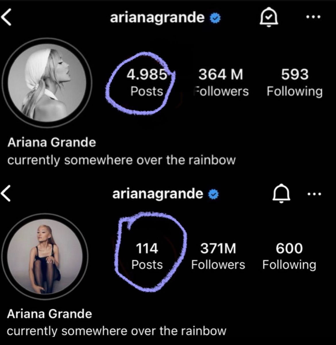 thearianaarmy tweet media