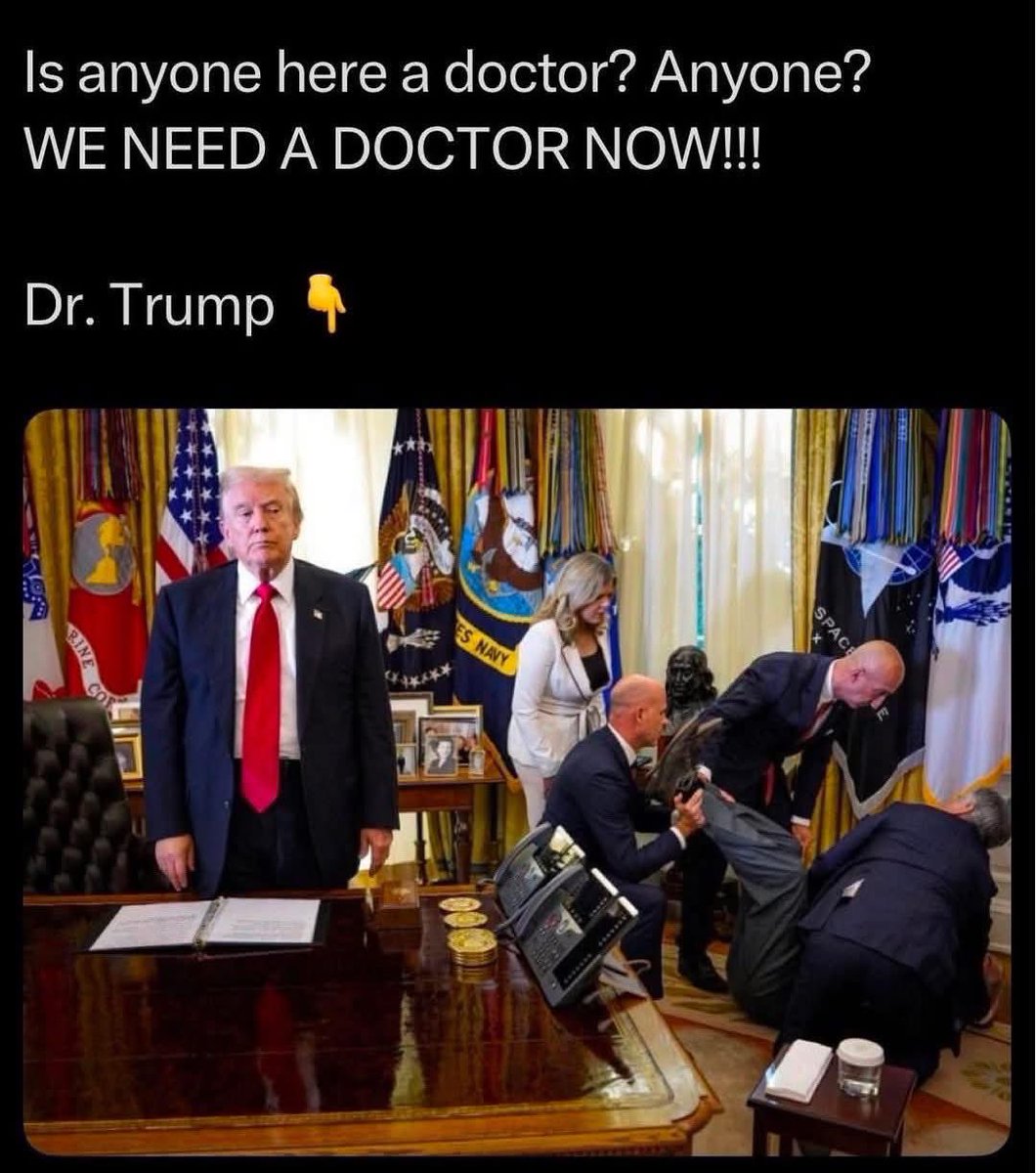 💙💙🐶🐱Alexa 🌊🐾❤️🐾❤️🐾 tweet media