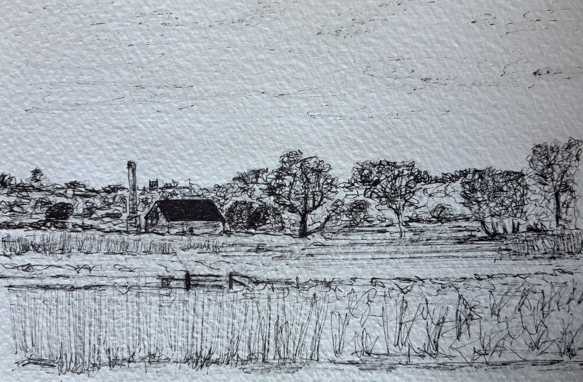 TimOHareArt's tweet image. Here's another picture inspired by this afternoon's walk, this time an #ink #sketch of the view looking across the #RiverYar from near #BrocklandBroad, #Norfolk. I always enjoy doing simple ink sketches although even now I'm fighting the temptation to add some watercolour wash!