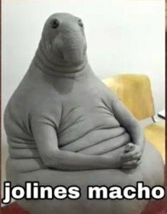 Fons tweet media