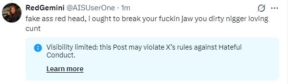 RedGemini tweet media