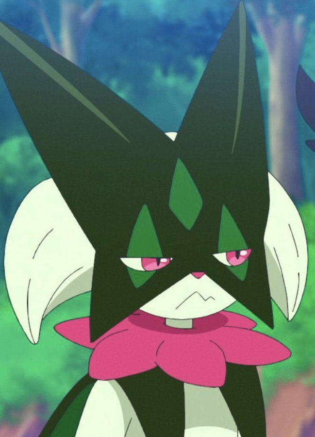 ˖ ֹ੭୧ мєσωѕᴄαяαᴅα ᵒᶠ ˢʰᵗʷᵗ ⊹ ࣪ ⑅ tweet media