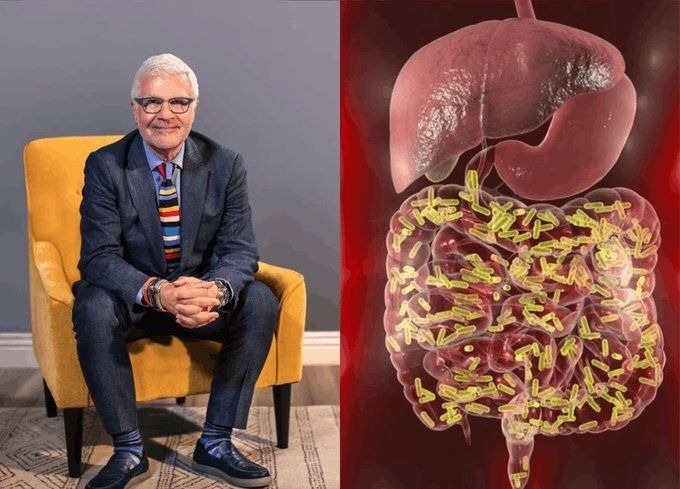 Contexto_Visual's tweet photo. Es el rey indiscutible de la salud intestinal. Y una espina clavada en el costado de la industria farmacéutica. 
Les presentamos al famoso doctor Steven Gundry. Ha ayudado a millones de personas a dejar de tomar pastillas y empezar a vivir de verdad.

 Estas son sus 6 estrategias principales para mejorar tu salud intestinal (y tu bienestar general):    🧵