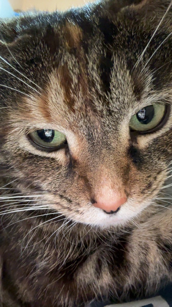 no idea who am i tweet media