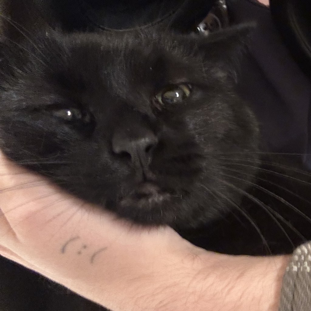 gunsboyf's tweet image. spot the difference