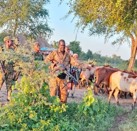 Uganda Police Force tweet media