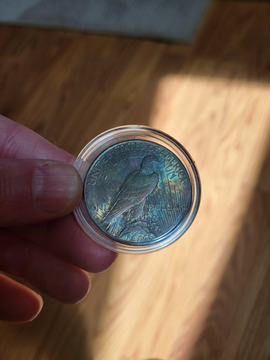 OrdinaryMan1776's tweet photo. .@TonedEagles Got a nice toned Peace Dollar for you, brother.😎😍 #Silver https://t.co/Xjkuvxtcng