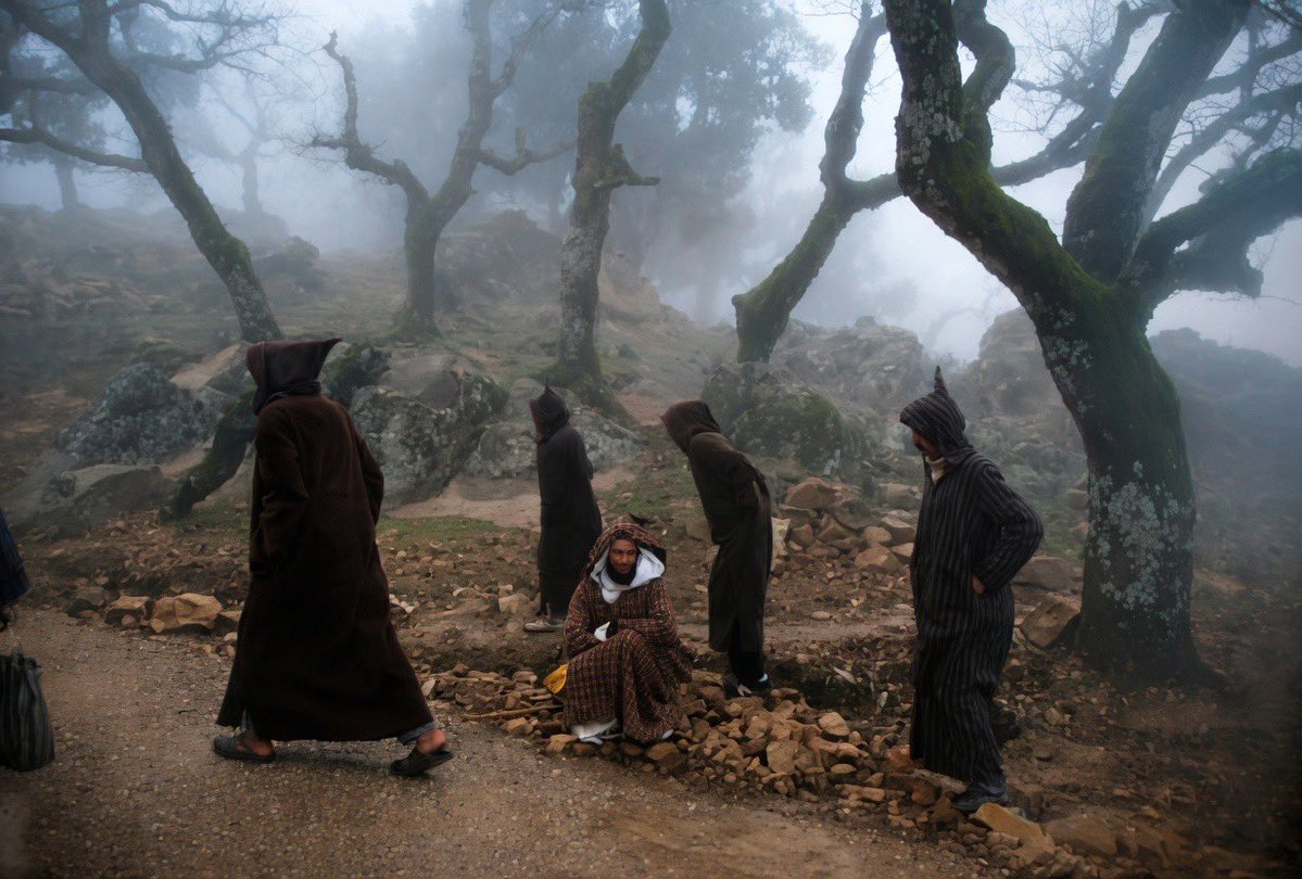 Moro Spirit ⵣ ⭐️⭐️ tweet media