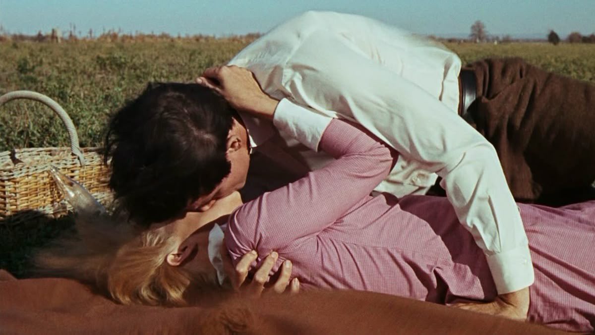 Lett🪾 tweet media