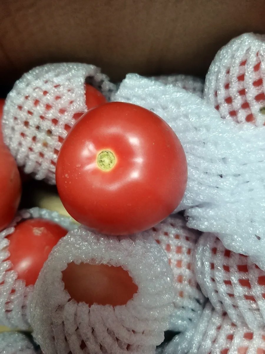 محمد اليافعي tweet media