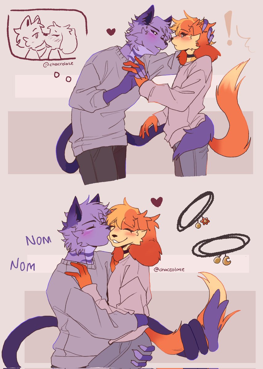 chaccolate's tweet image. Nom
#catnap x #dogday #smilingcritters